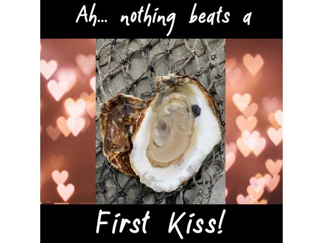 First Kiss Oyster - 25 Count